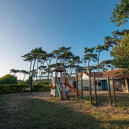 Kampaoh De Angeiras Lavra