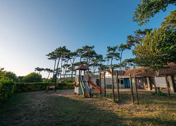 Kampaoh De Angeiras Lavra